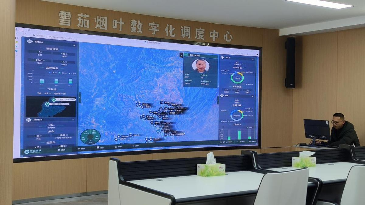 湖北丹江口：烟叶产业“三融合”绘就富民新图景
