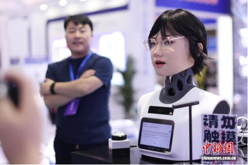 机器人&ldquo;扎堆&rdquo;亮相 世界智能制造博览会南京开展